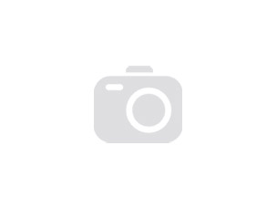 Tuiles St Foy 10/30 Balbigny (42)