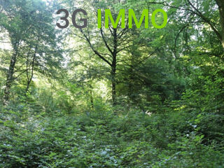  Terrain  vendre 816 m