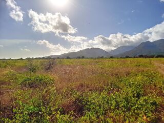  Terrain  vendre 1443 m