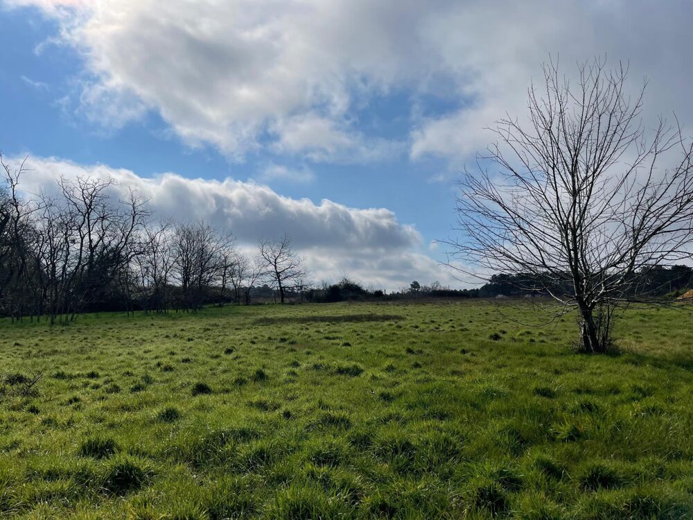 Vente Terrain Terrain  btir Grignols