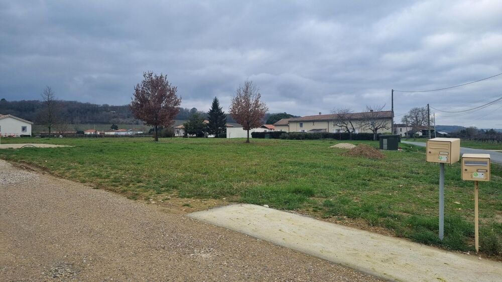 Vente Terrain Terrain constructible Buzet-sur-baise