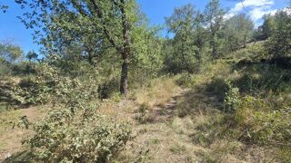 Terrain  vendre 4600 m Marquixanes