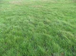  Terrain  vendre 500 m