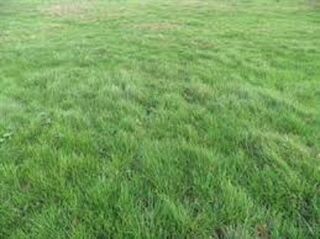  Terrain  vendre 282 m