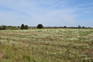  Terrain  vendre 3187 m