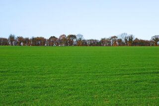  Terrain  vendre 430 m