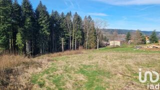  Terrain  vendre 3195 m