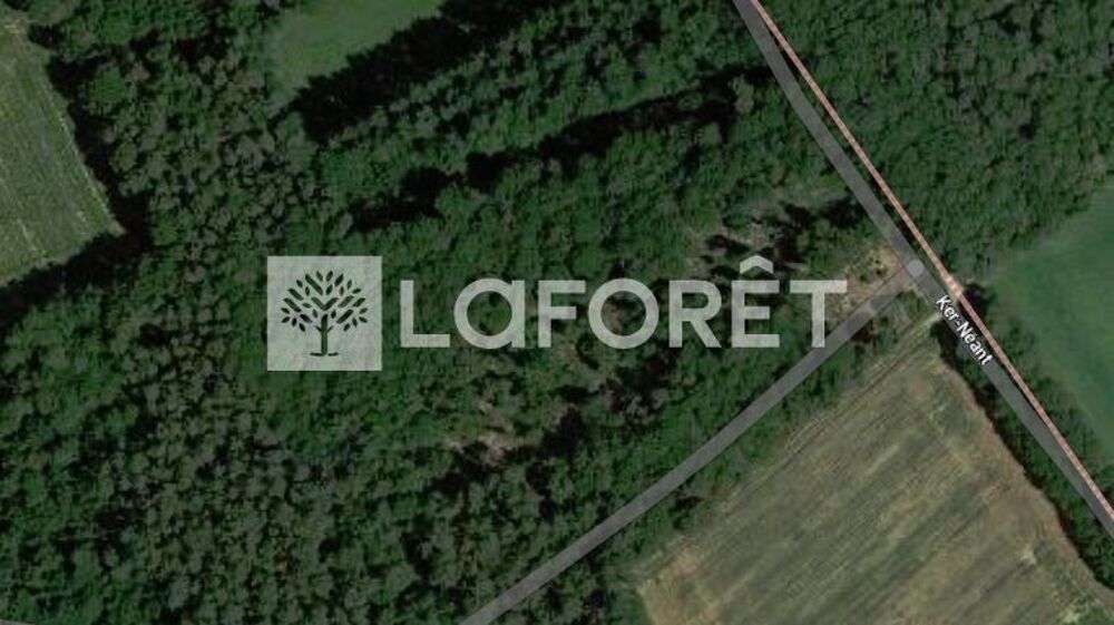 Vente Terrain Terrain Neant Sur Yvel 12004 m2 Neant sur yvel