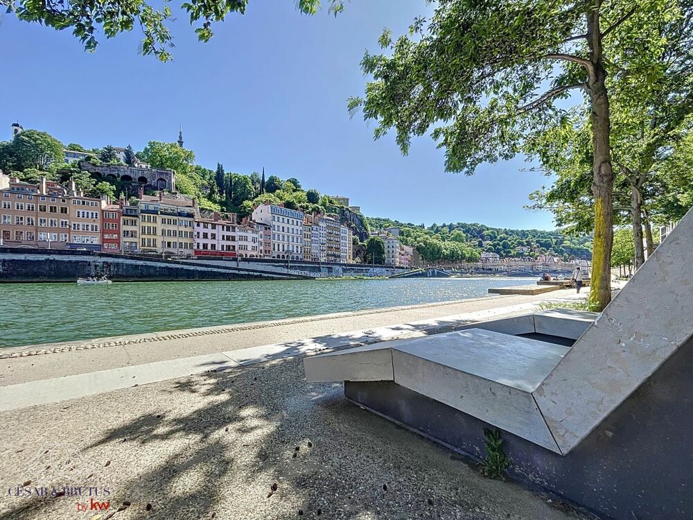  vendre  Appartement Lyon 1