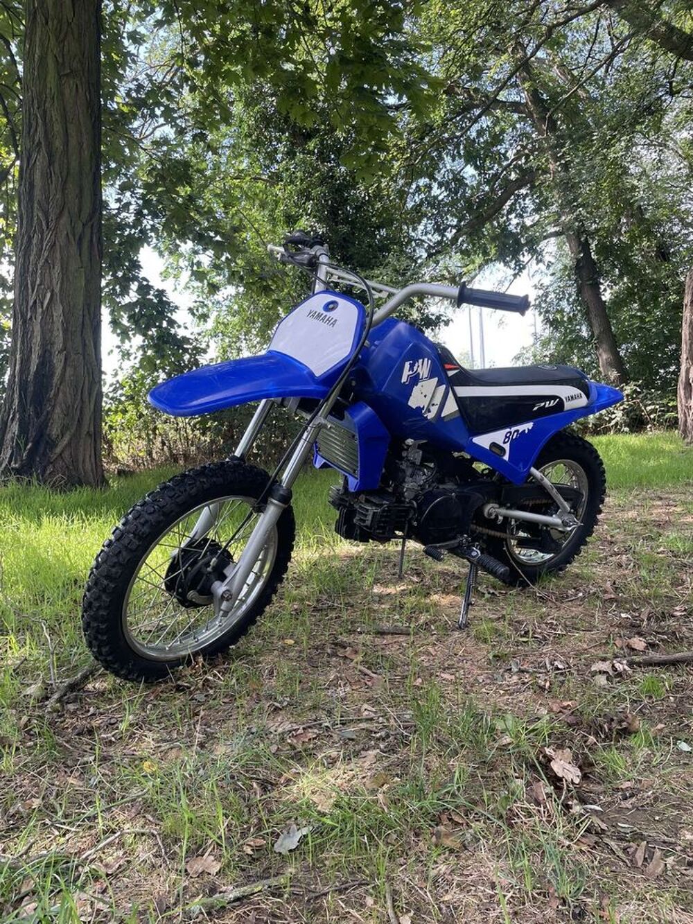 YAMAHA 2003 occasion 67230 Huttenheim