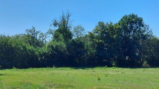  Terrain  vendre 