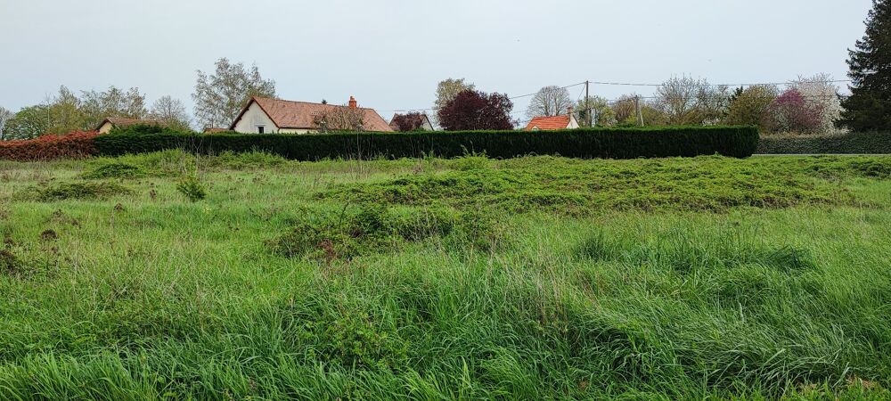 Vente Terrain Terrain constructible Chalivoy milon