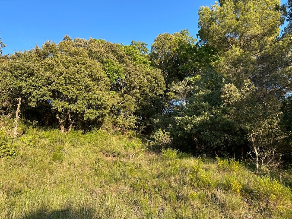 Vente Terrain Rare a le vente  terrain  de 2610 m trs calme et nature. Baudinard-sur-Verdon 