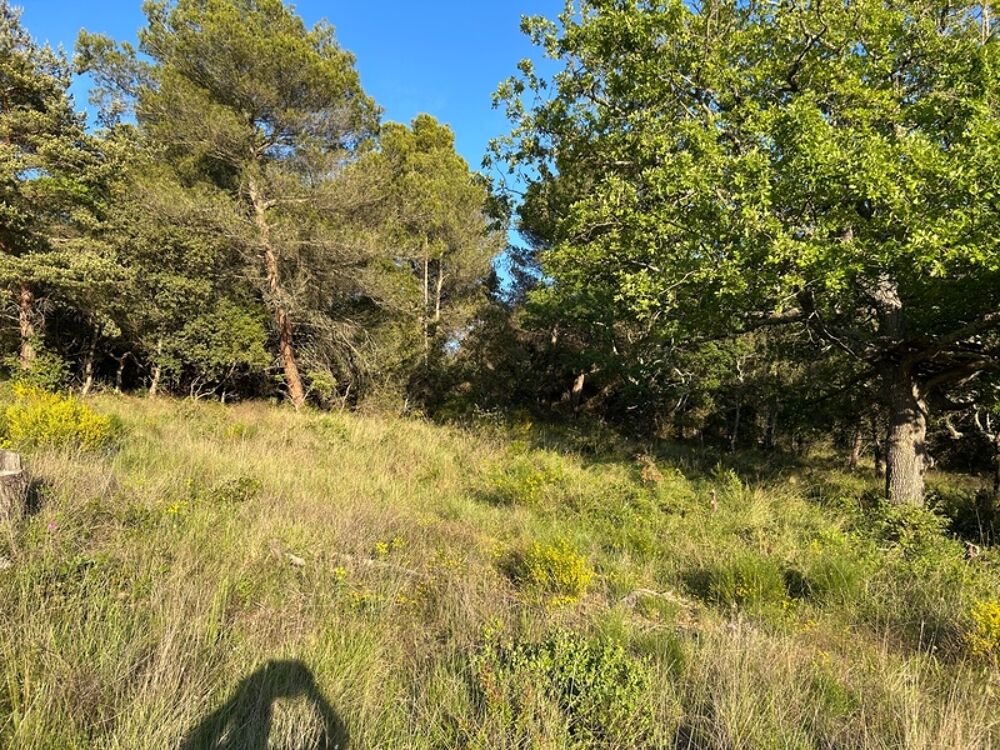 Vente Terrain Rare a le vente  terrain  de 2610 m trs calme et nature. Baudinard-sur-Verdon 