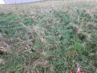  Terrain  vendre 916 m