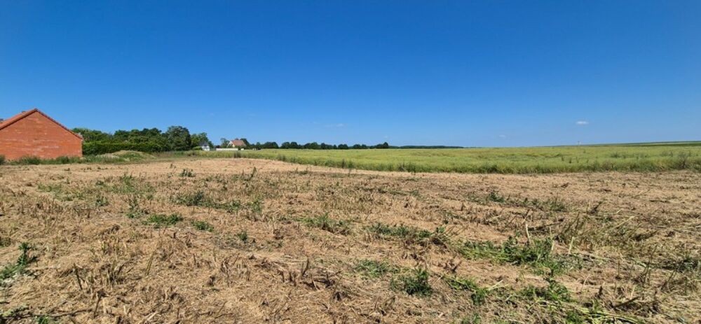 Vente Terrain Dpt Marne (51),  vendre PLIVOT - Terrain  btir de 600 m Plivot