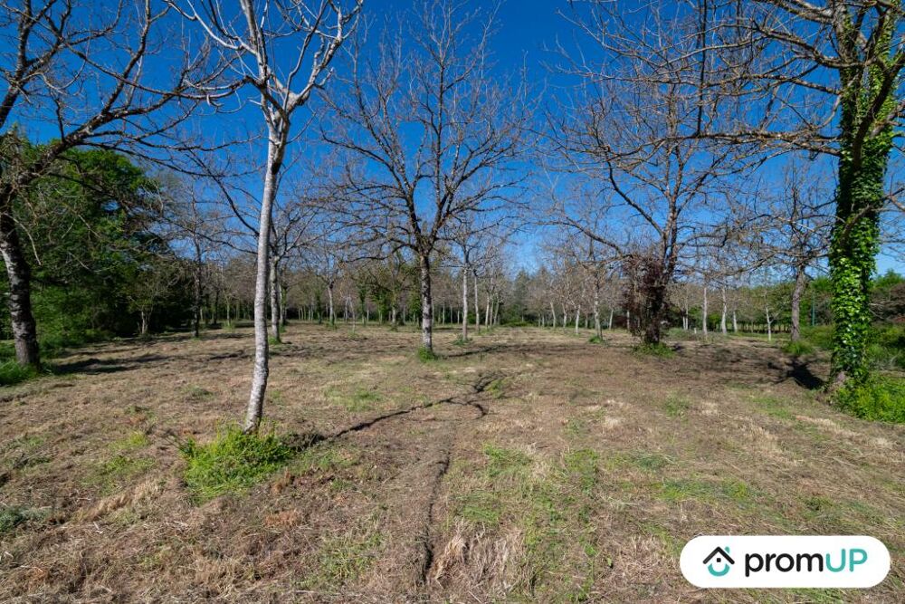 Vente Terrain Terrain constructible de 10000 m2  RANS Reans
