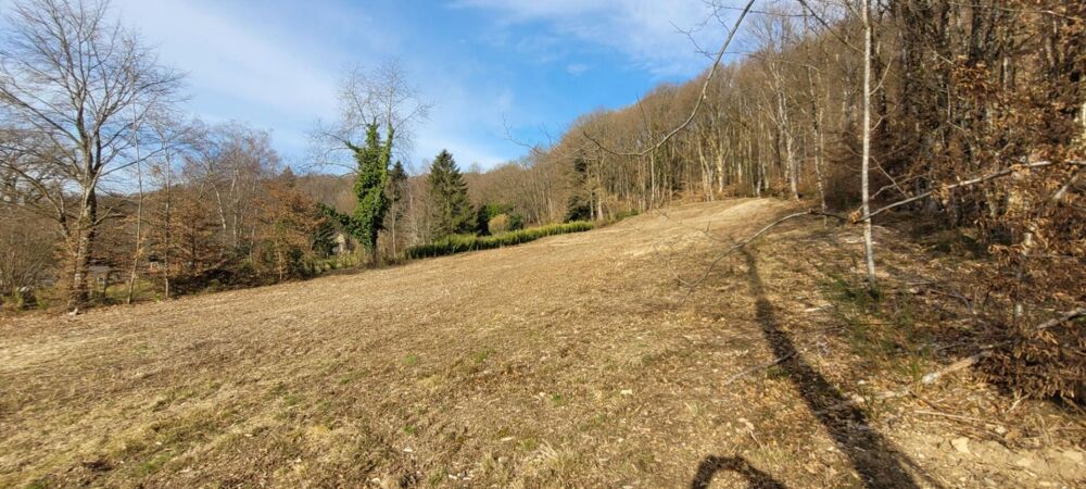 Vente Terrain Vue dominante Masevaux niederbruck