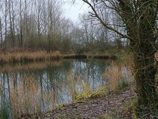  Terrain  vendre 3141 m