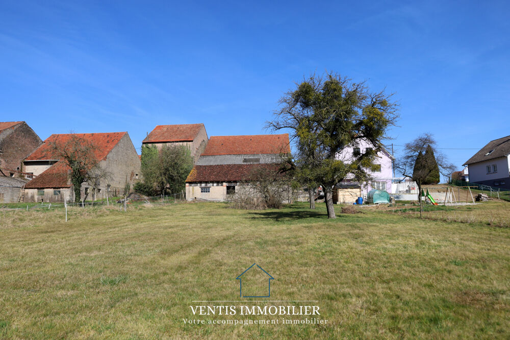 Vente Autre NOUVEAUTE VENTIS Immobilier -  Grange  rnover sur un terrain de 17 ares Ottwiller